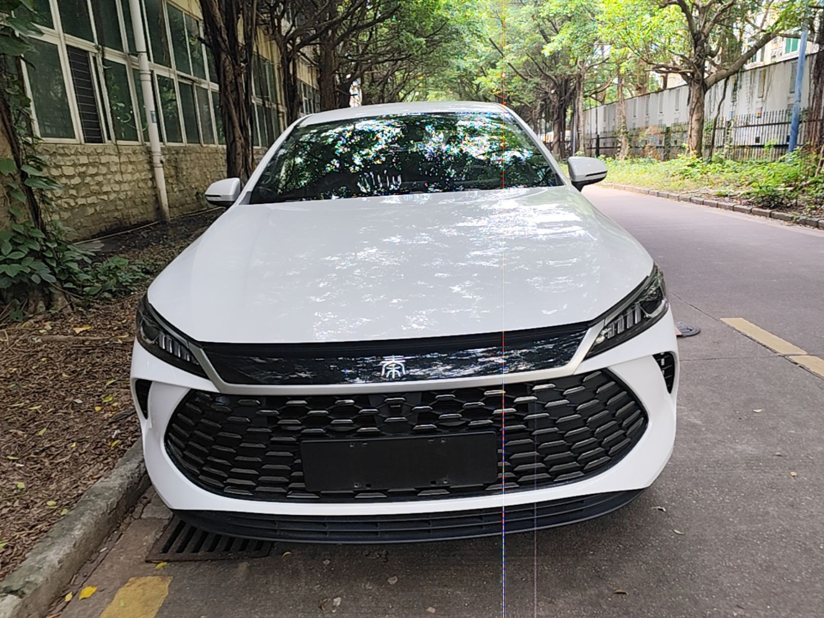 BYD Qin PLUS 2025 — фото 2