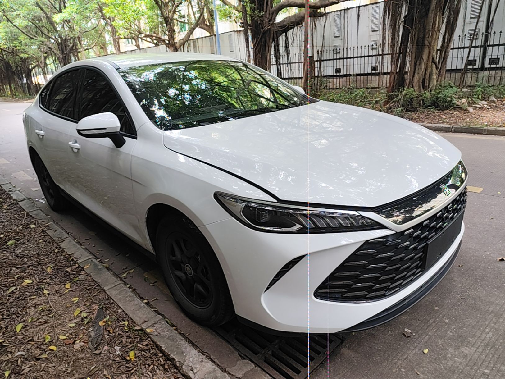 BYD Qin PLUS 2025 — фото 3