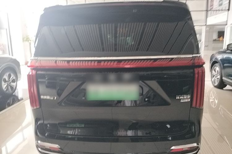 WEY Gaoshan 2025 — 5