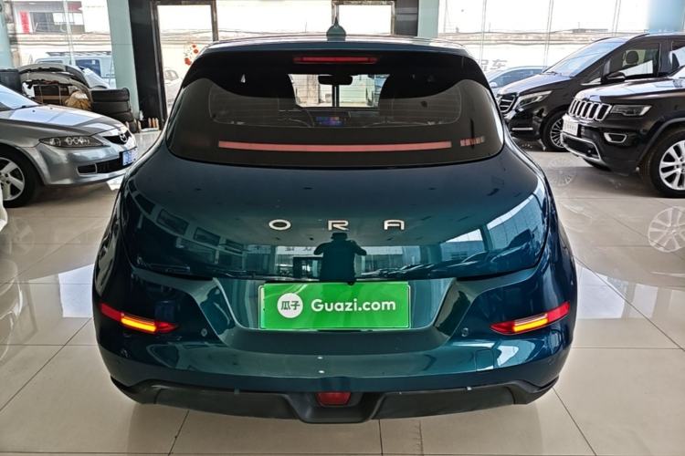 Ora Good Cat 2023 — 5