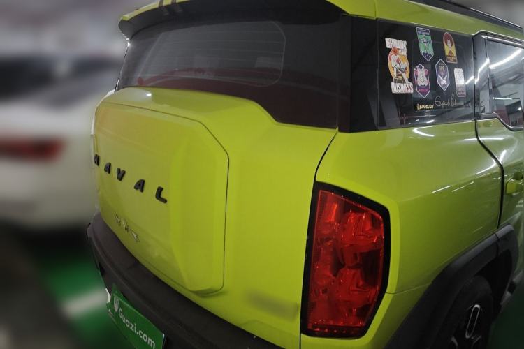 Haval X DOG 2022 — 5