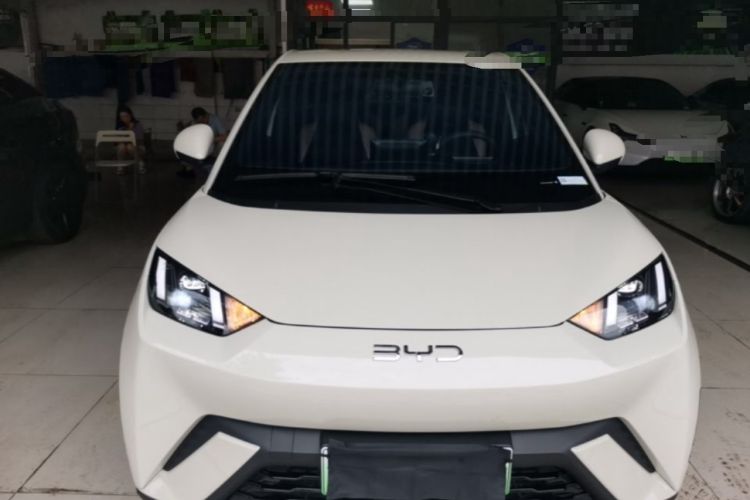 BYD Dolphin Mini 2025 — 2