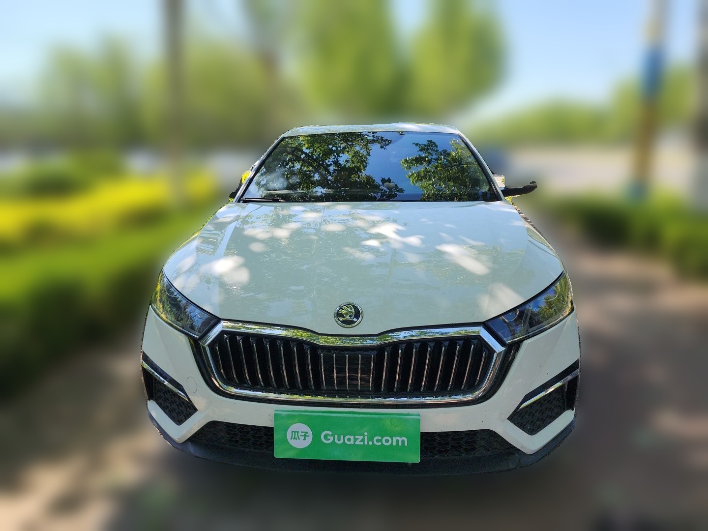 Skoda Octavia 2022 — фото 2