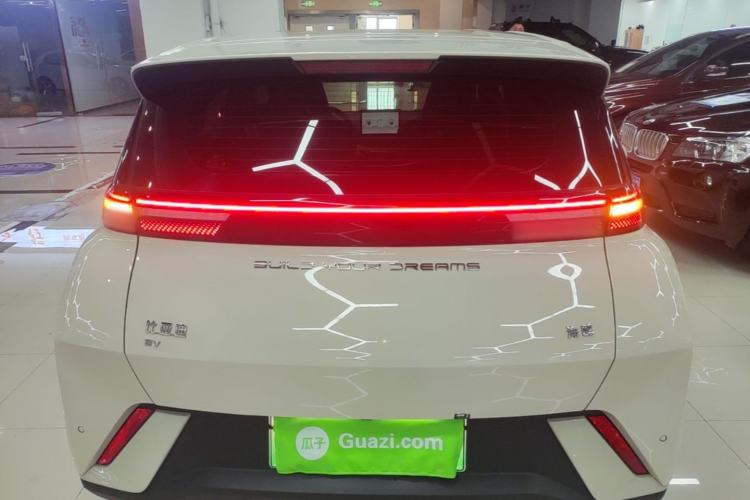 BYD Seagull 2024 — 5
