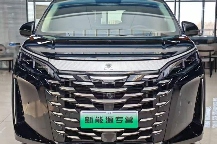 BYD Xia 2025 — 2