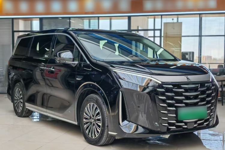 BYD Xia 2025 — 3