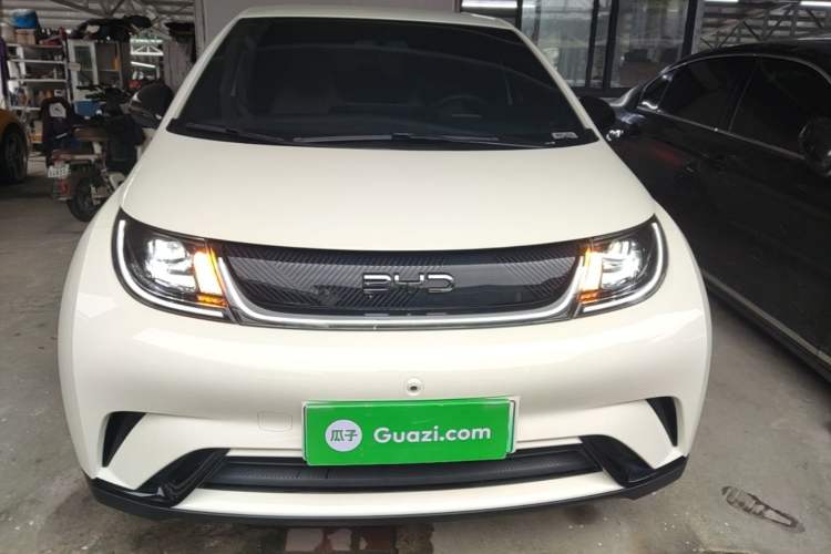 BYD Dolphin 2025 — 2