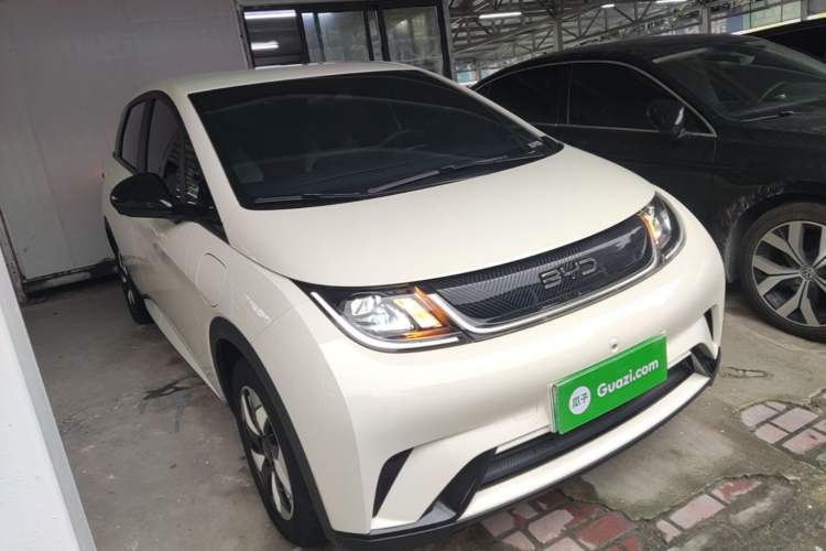 BYD Dolphin 2025 — 3