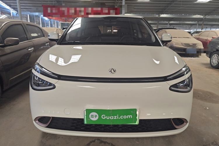 DongFeng NAMMI 01 2024 — 2