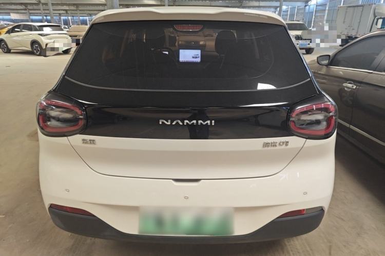 DongFeng NAMMI 01 2024 — 5