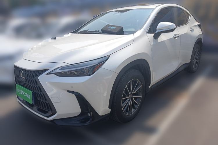 Lexus NX 260 2023 — фото 1