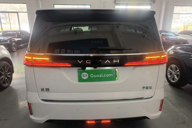Voyah Dream 2025 — 5