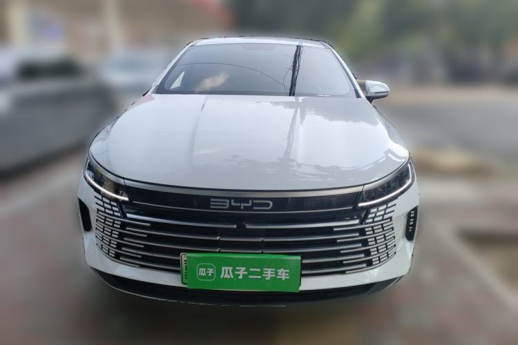 BYD Destroyer 05 2024 — фото 2