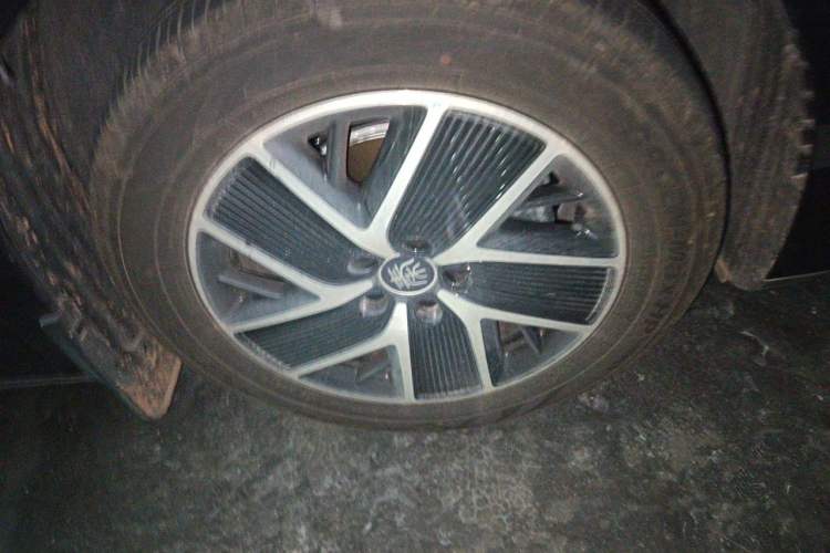 BYD Qin L 2024 — 5