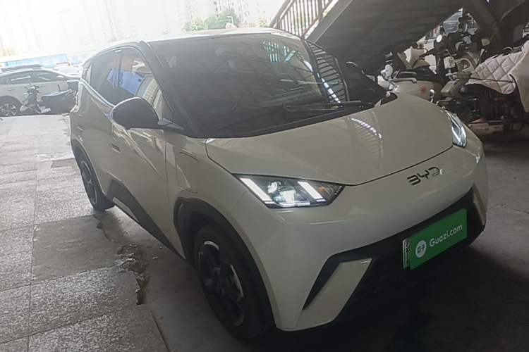 BYD Seagull 2024 — 3
