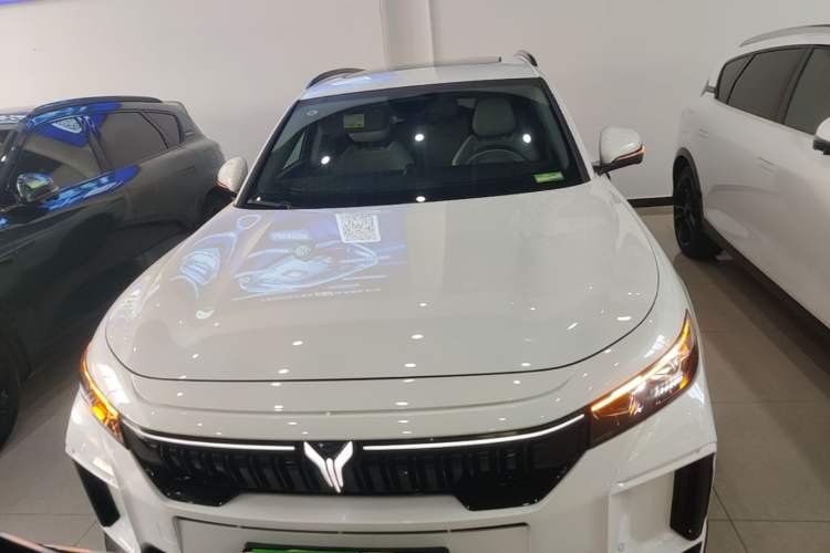 Voyah FREE 2025 — 2