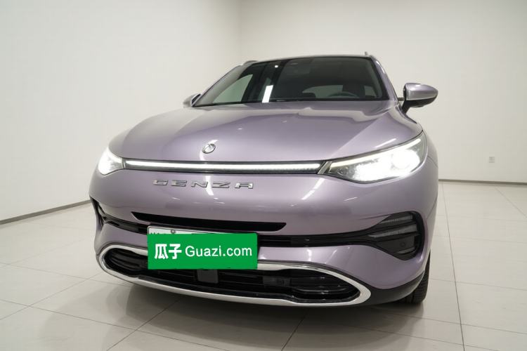 Denza X 2020 — 2