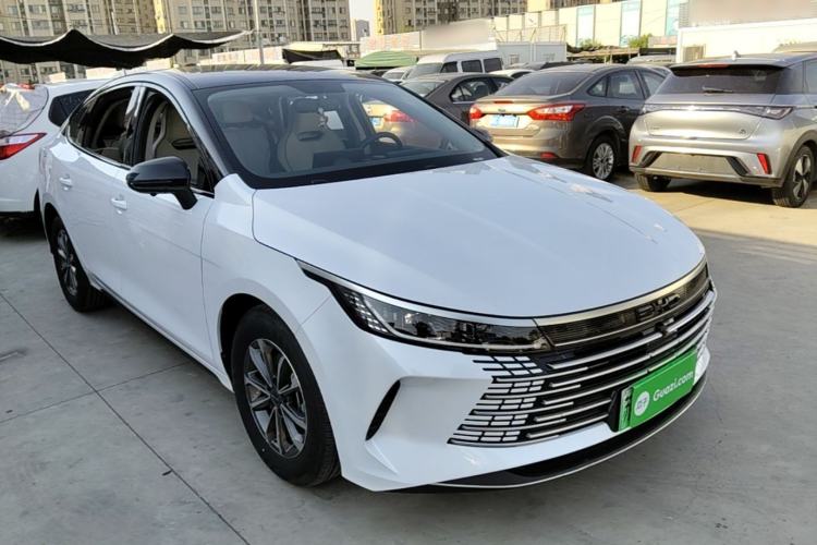 BYD Destroyer 05 2024 — 3