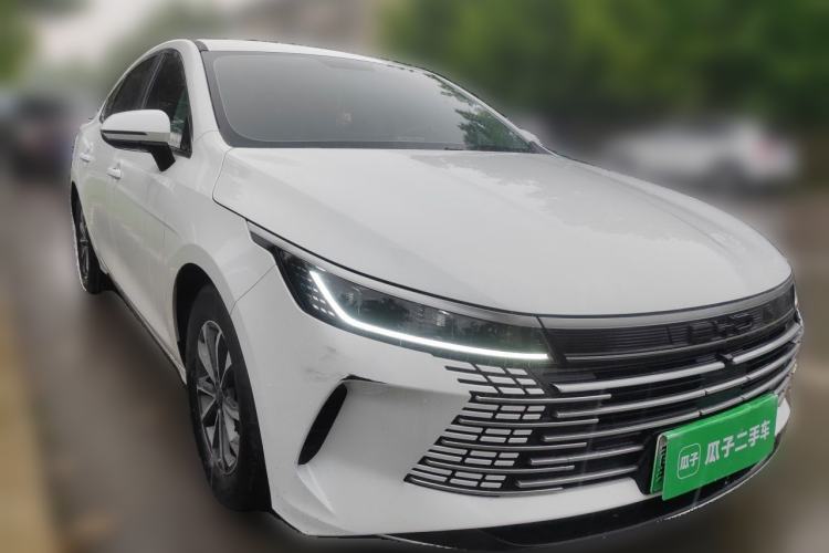 BYD Destroyer 05 2024 — 3