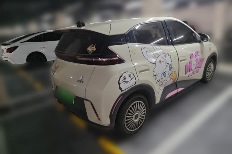 BYD Seagull 2024 — 4