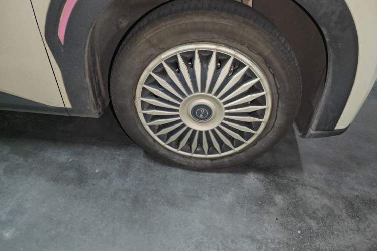 BYD Seagull 2024 — 5