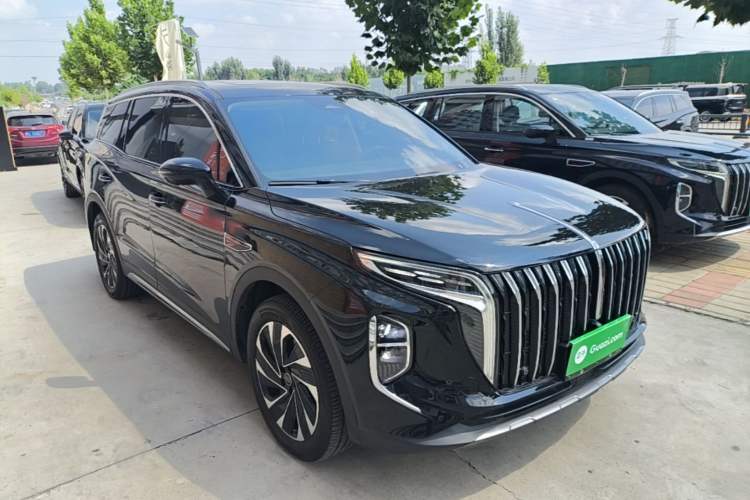 Hongqi HS7 PHEV 2025 — фото 3