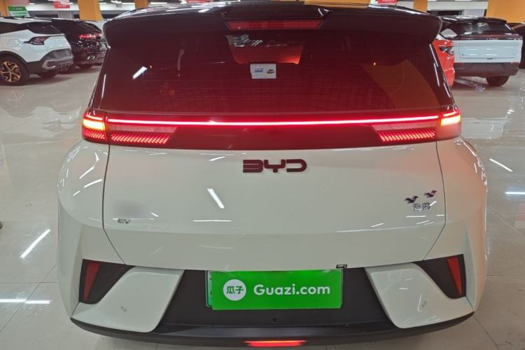 BYD Seagull 2025 — 5