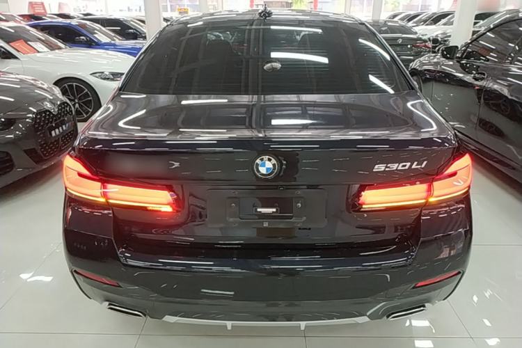 BMW 530Li 2022 — 5