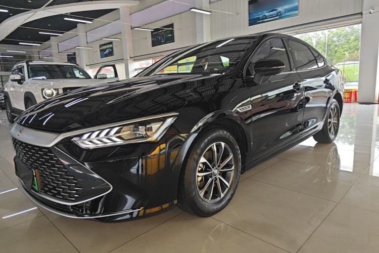 BYD Qin PLUS 2024 — фото 1