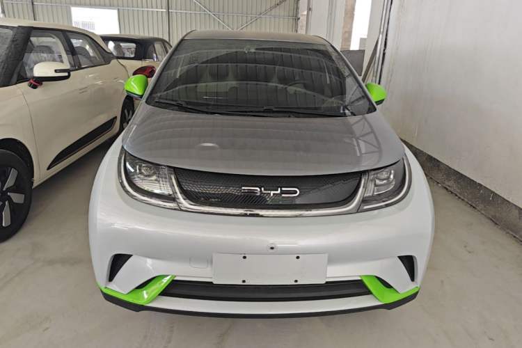 BYD Dolphin 2021 — 2
