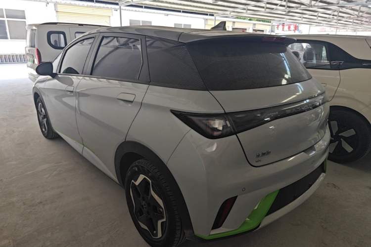 BYD Dolphin 2021 — 4