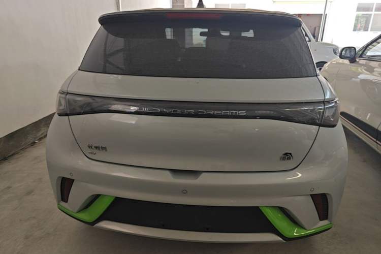 BYD Dolphin 2021 — 5