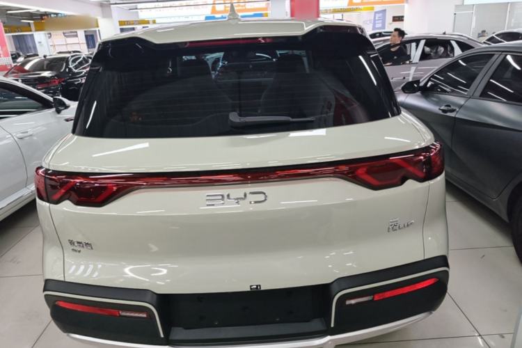 BYD Yuan UP 2024 — 5