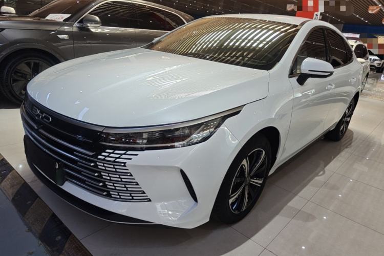 BYD Destroyer 05 2024 — фото 1
