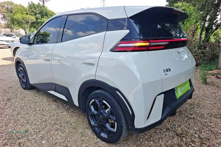 BYD Seagull 2024 — 4