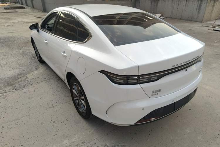 BYD Destroyer 05 2024 — 4