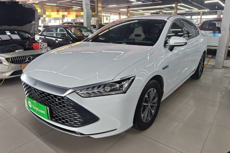 BYD Qin PLUS 2024 — фото 1