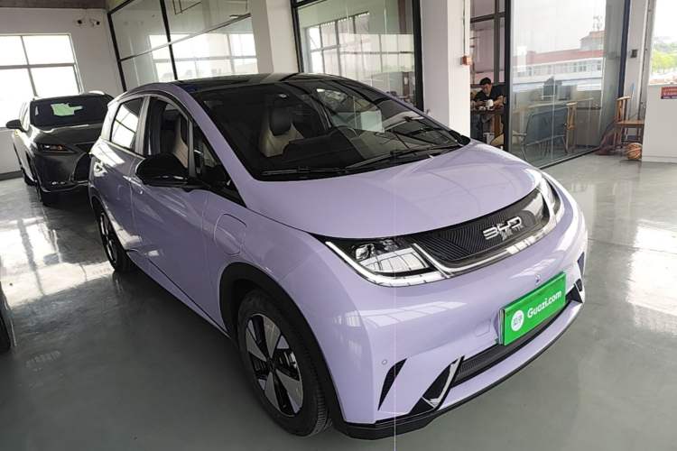 BYD Dolphin 2023 — 3