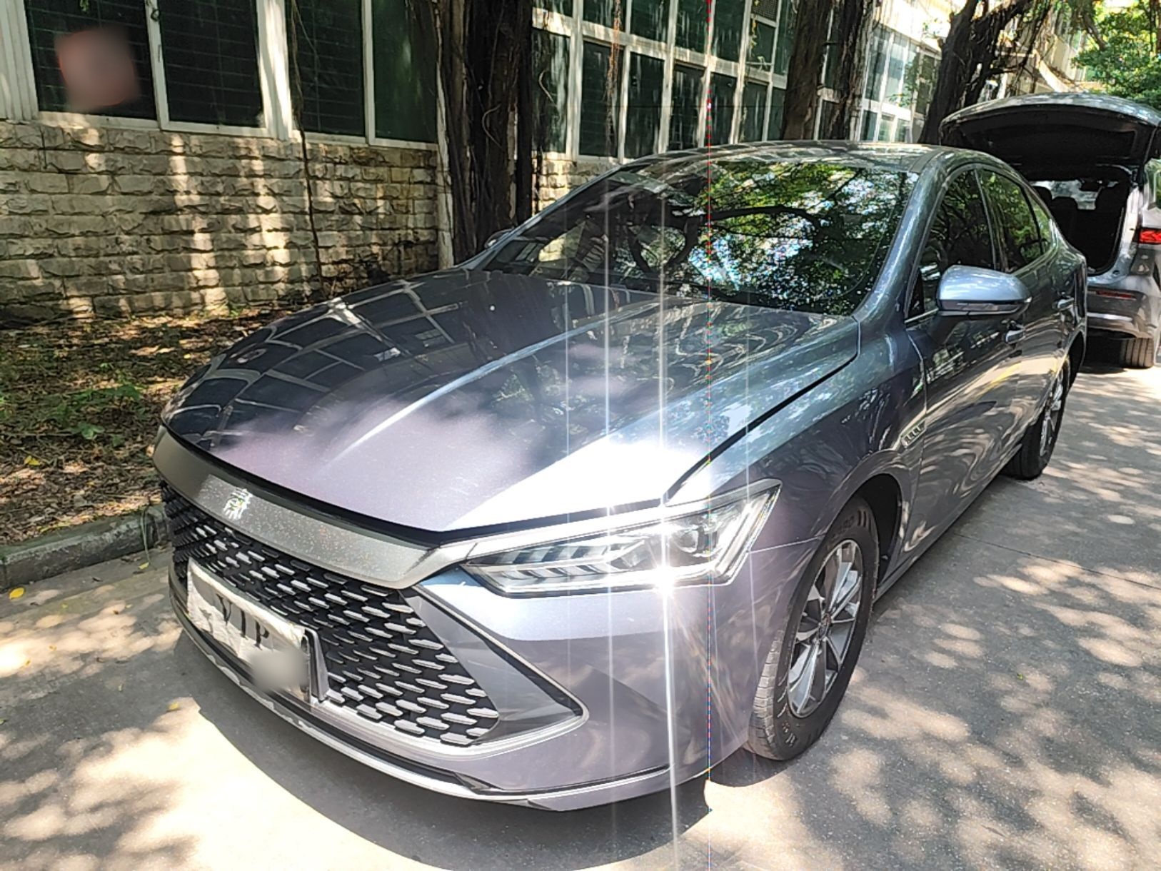 BYD Qin PLUS 2024 — фото 1