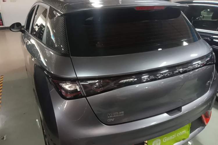 BYD Dolphin 2021 — 4