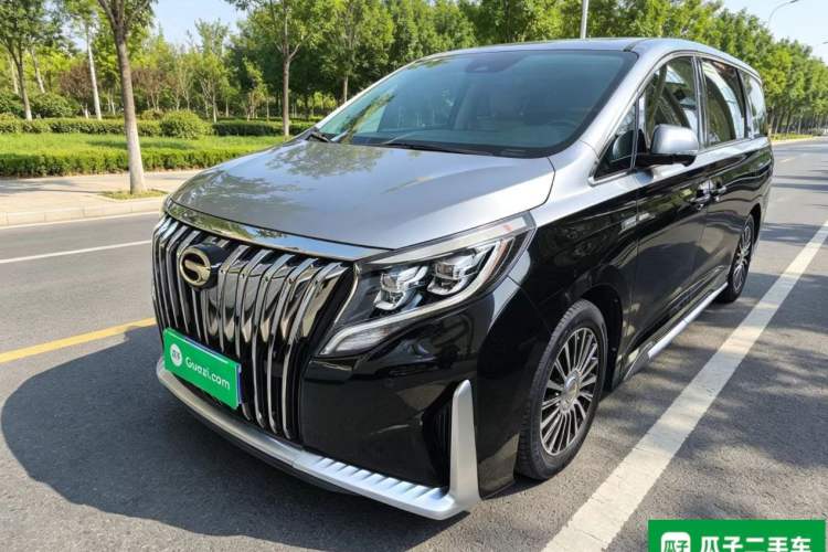 GAC Motor trumpchi m8 2021 — фото 1