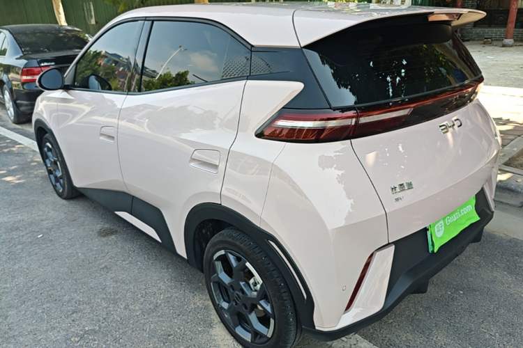 BYD Dolphin Mini 2025 — фото 4
