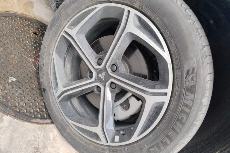 Neta L 2024 — 5