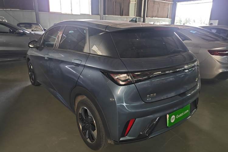 BYD Dolphin 2024 — 4