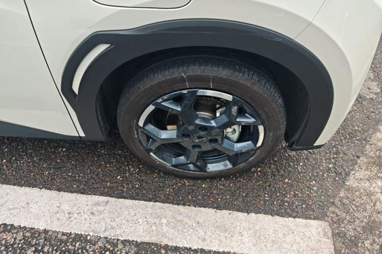 BYD Seagull 2024 — 5