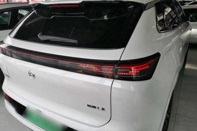 DongFeng L8 2025 — 5