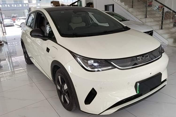 BYD Dolphin 2025 — 3