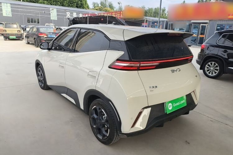 BYD Dolphin Mini 2025 — 4