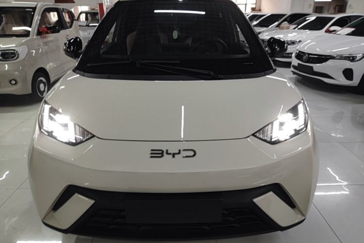 BYD Dolphin Mini 2025 — 2