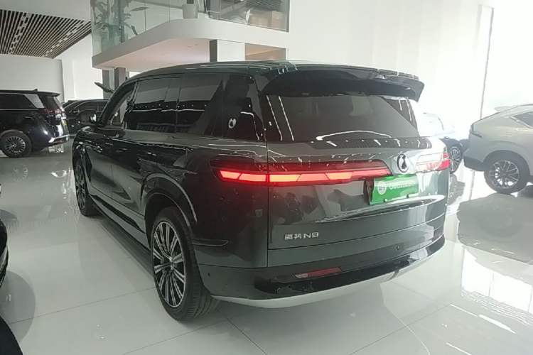 Denza N9 2025 — 4